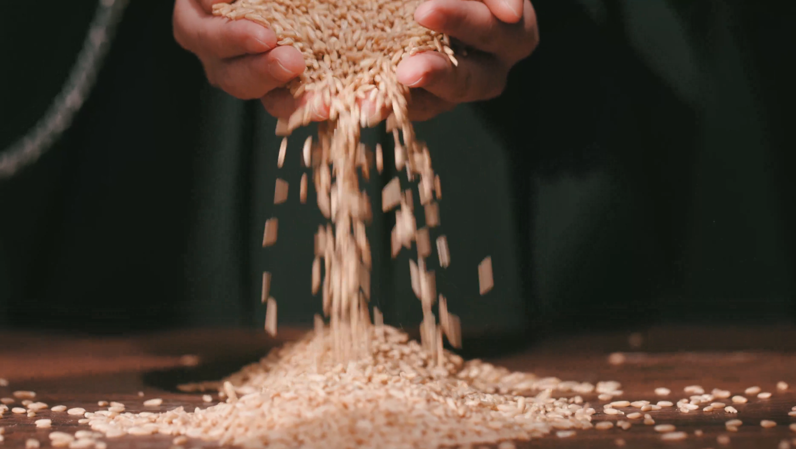 4k丰收升格捧起撒粮食小麦撒下暗调视频的预览图