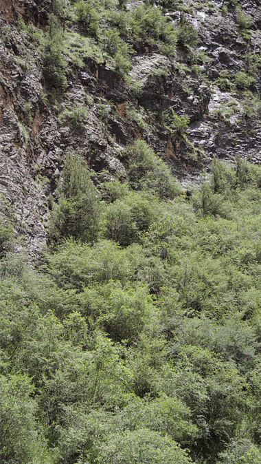 4k竖屏实拍高原草甸石头山自然风景视频的预览图