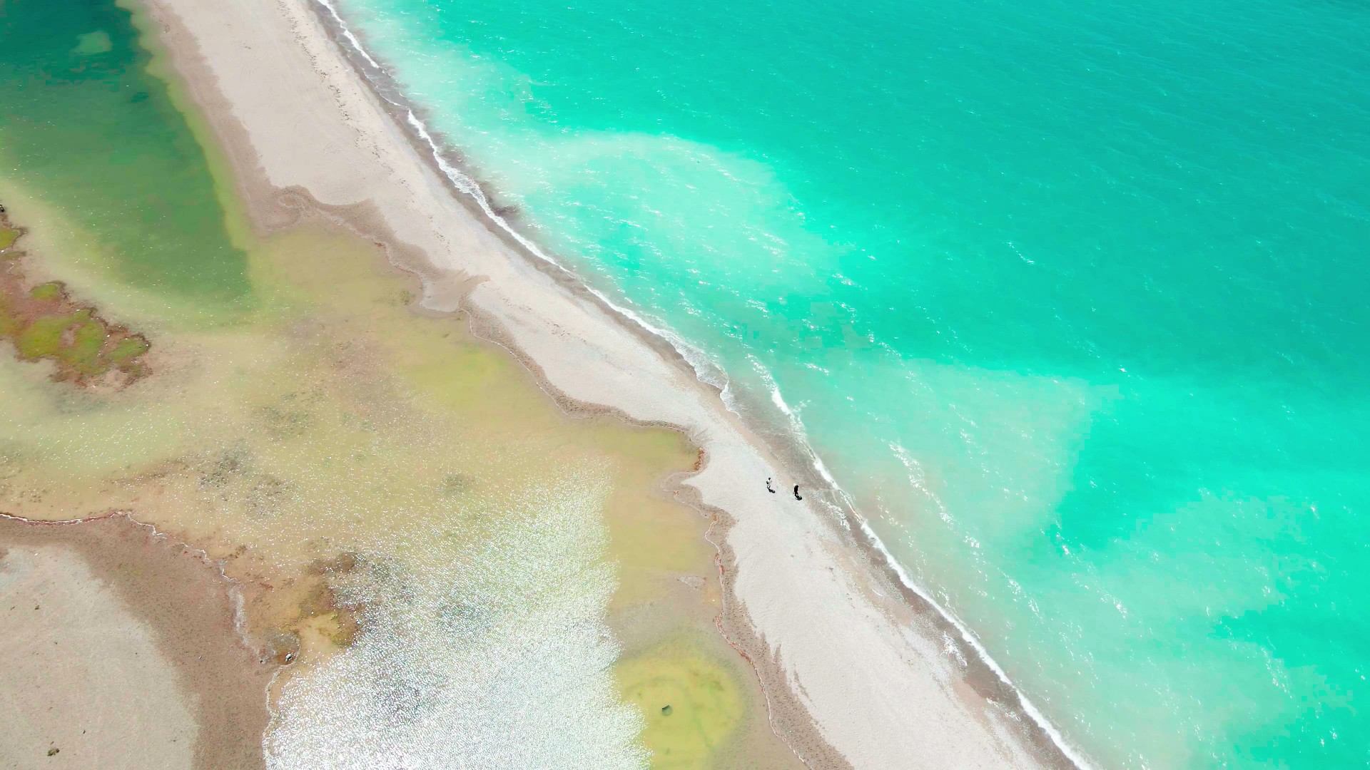 4K实拍夏天唯美海浪浪花碧海海水视频视频的预览图