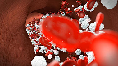 生物医疗血管流动3D视频背景视频的预览图
