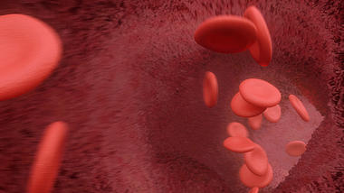血小板视频素材血管模板视频背景视频的预览图