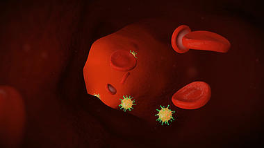 生物医疗血液流动血管3D视频素材视频的预览图
