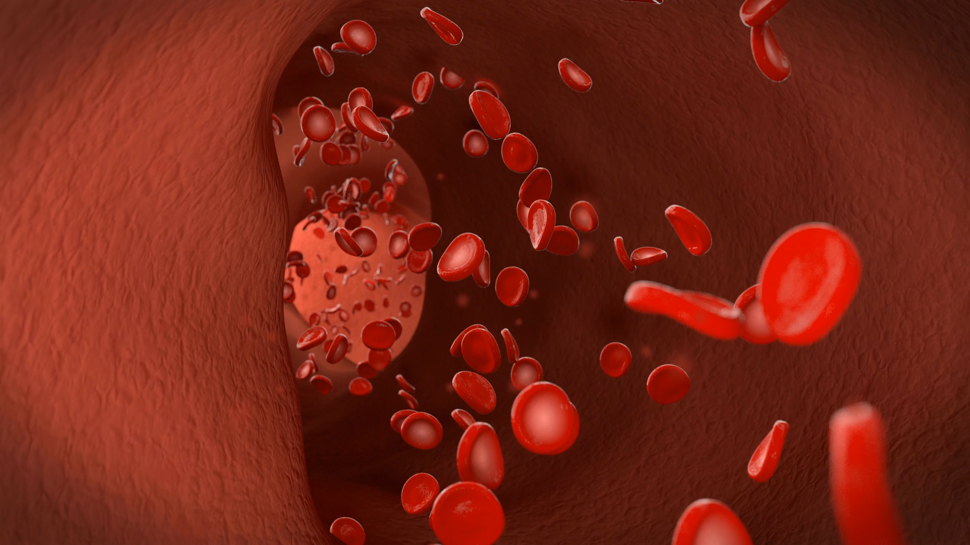 生物医疗血管流动血小板3D视频背景视频的预览图