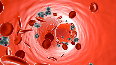 3D医学血管血小板病毒视频背景视频的预览图