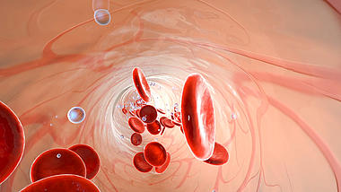 血小板在血管流动视频素材3D视频背景视频的预览图