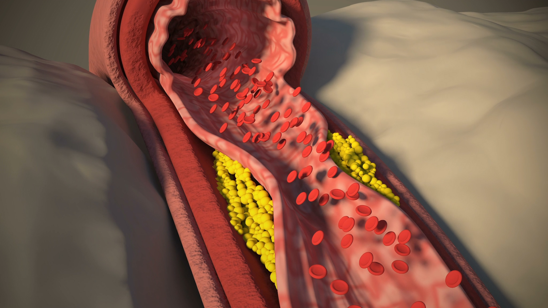血管解剖面3D视频素材视频背景视频的预览图