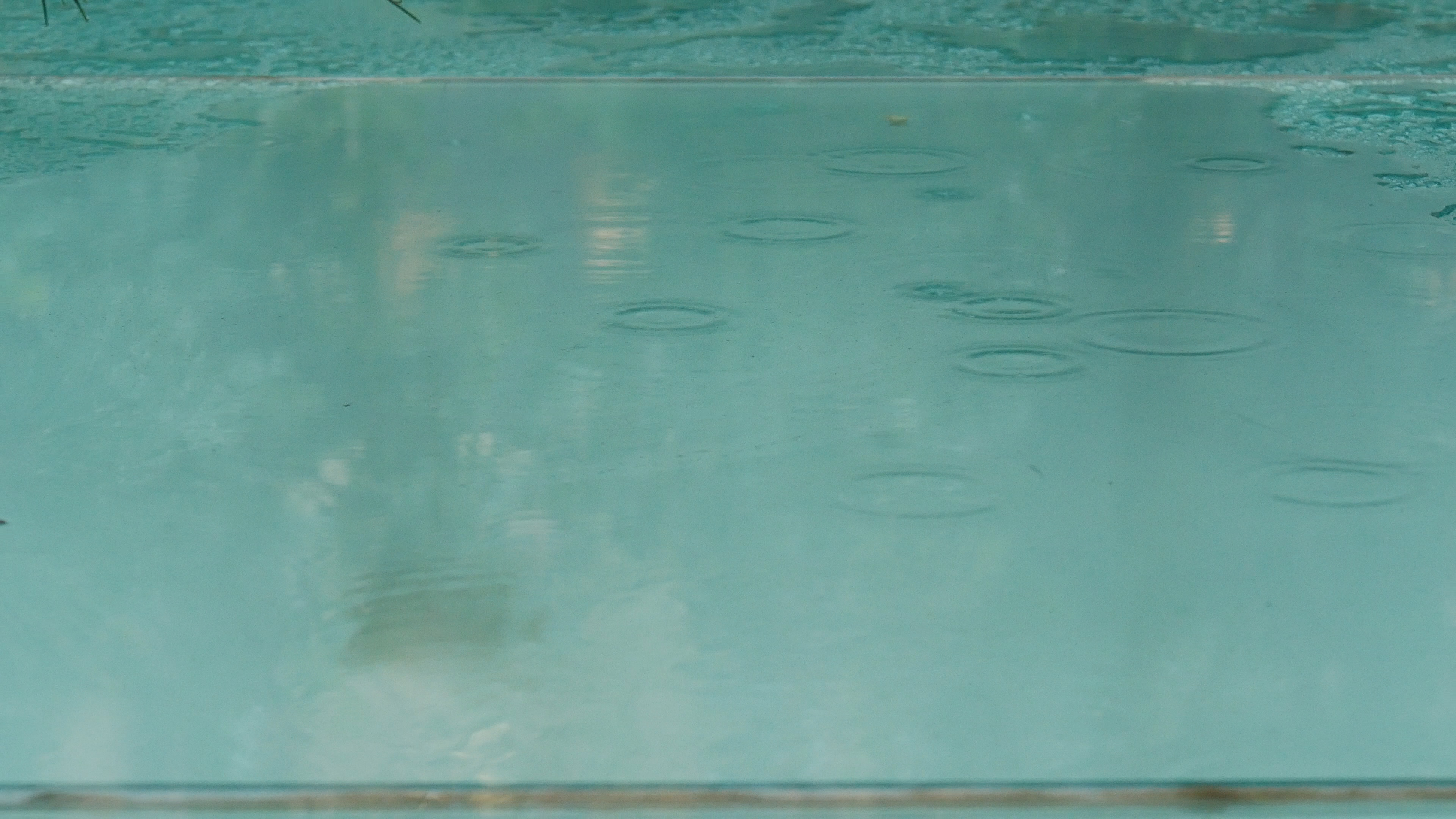4K夏日雨水滴落的涟漪意境空镜视频的预览图