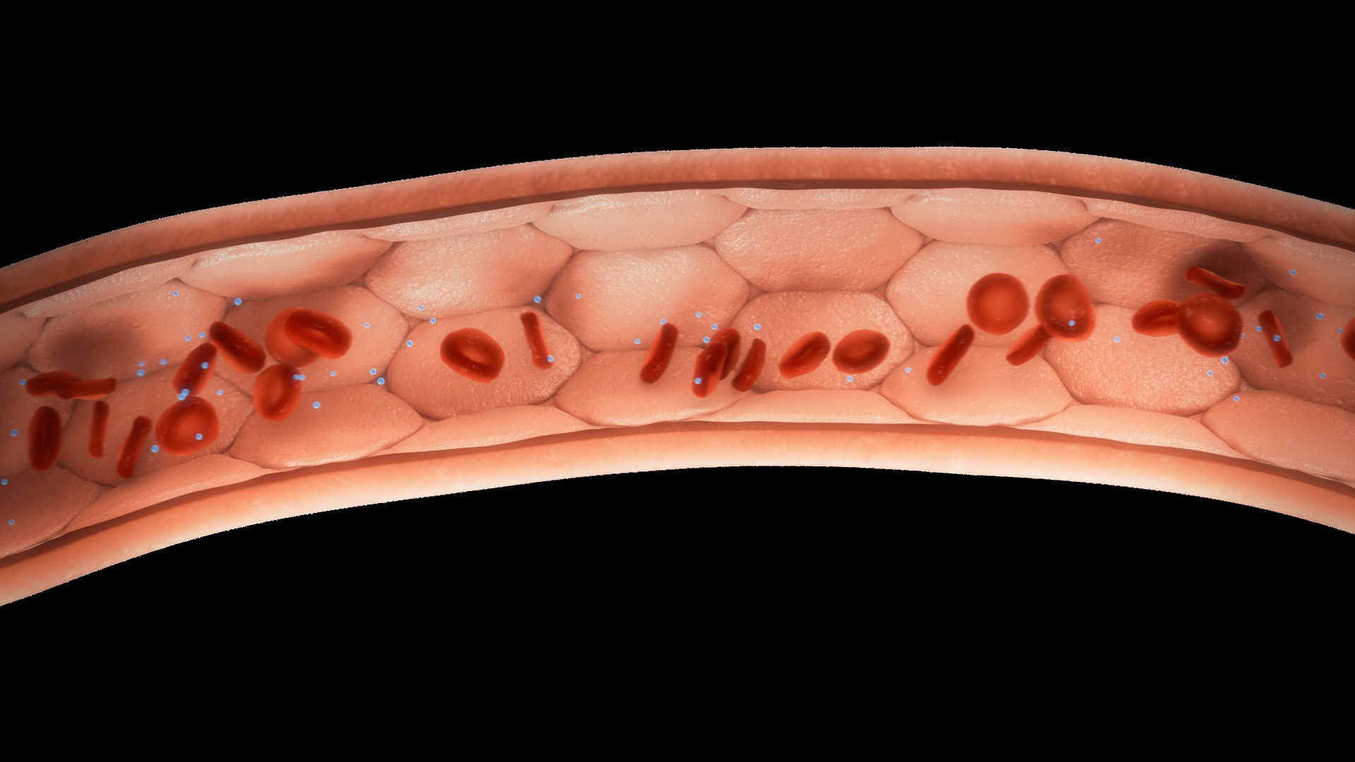 3D医学视频素材血管血小板粒子视频背景视频的预览图