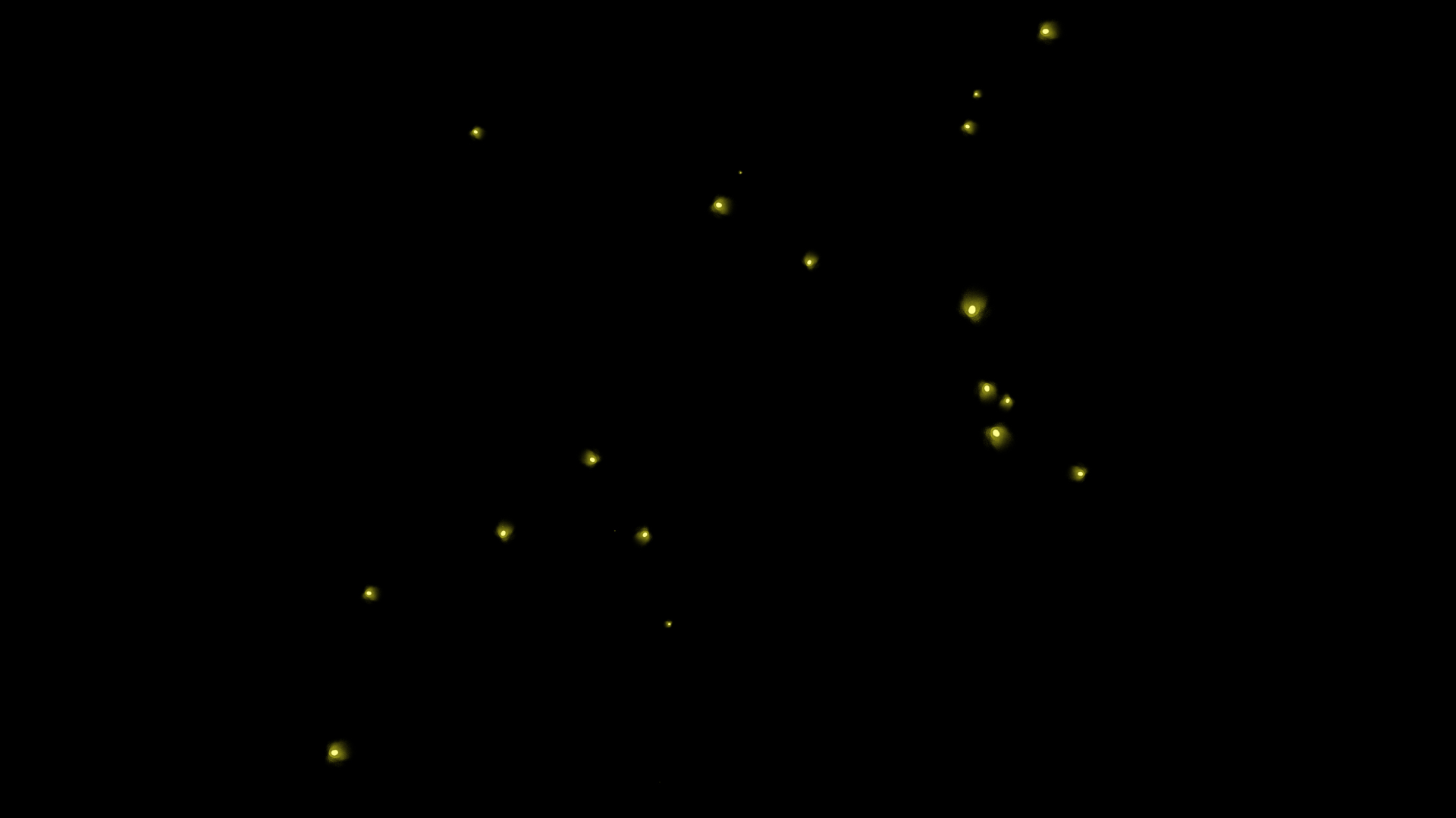 金色光点光效闪烁粒子视频特效视频的预览图