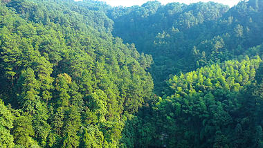 4k航拍夏日山间原始森林树林风光自然风景大山高山祖国山河大好河山视频的预览图