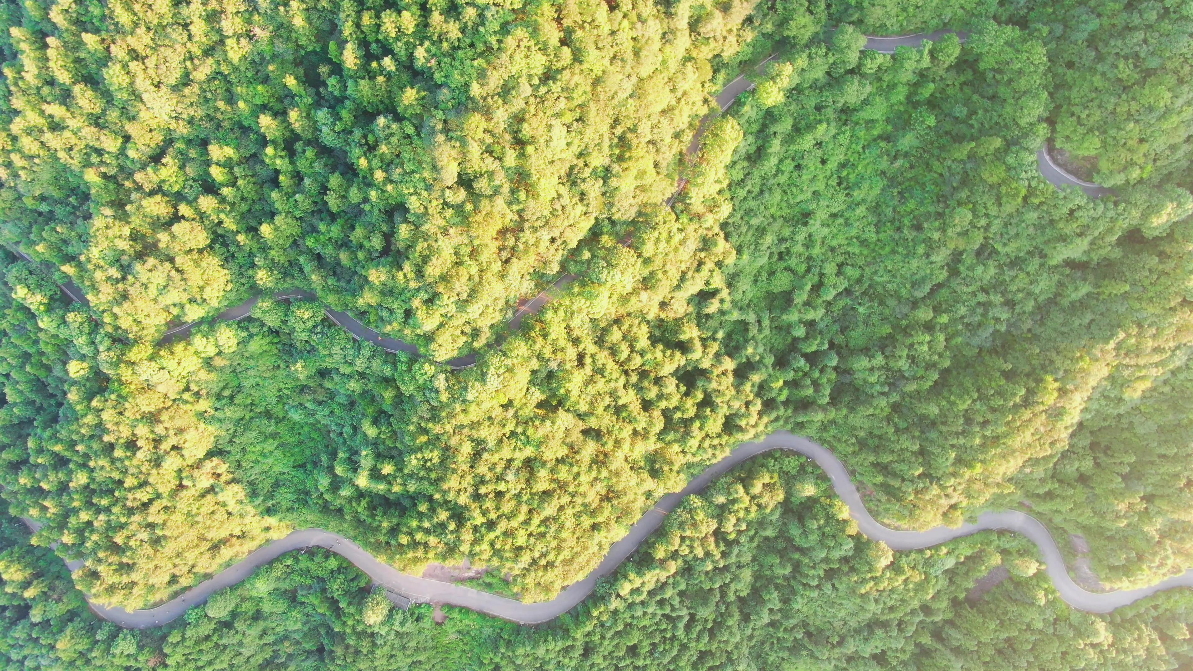 4K航拍大山深处蜿蜒的深林公路视频的预览图