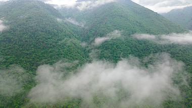 4K航拍山谷云雾缭绕大山高山自然风景视频的预览图