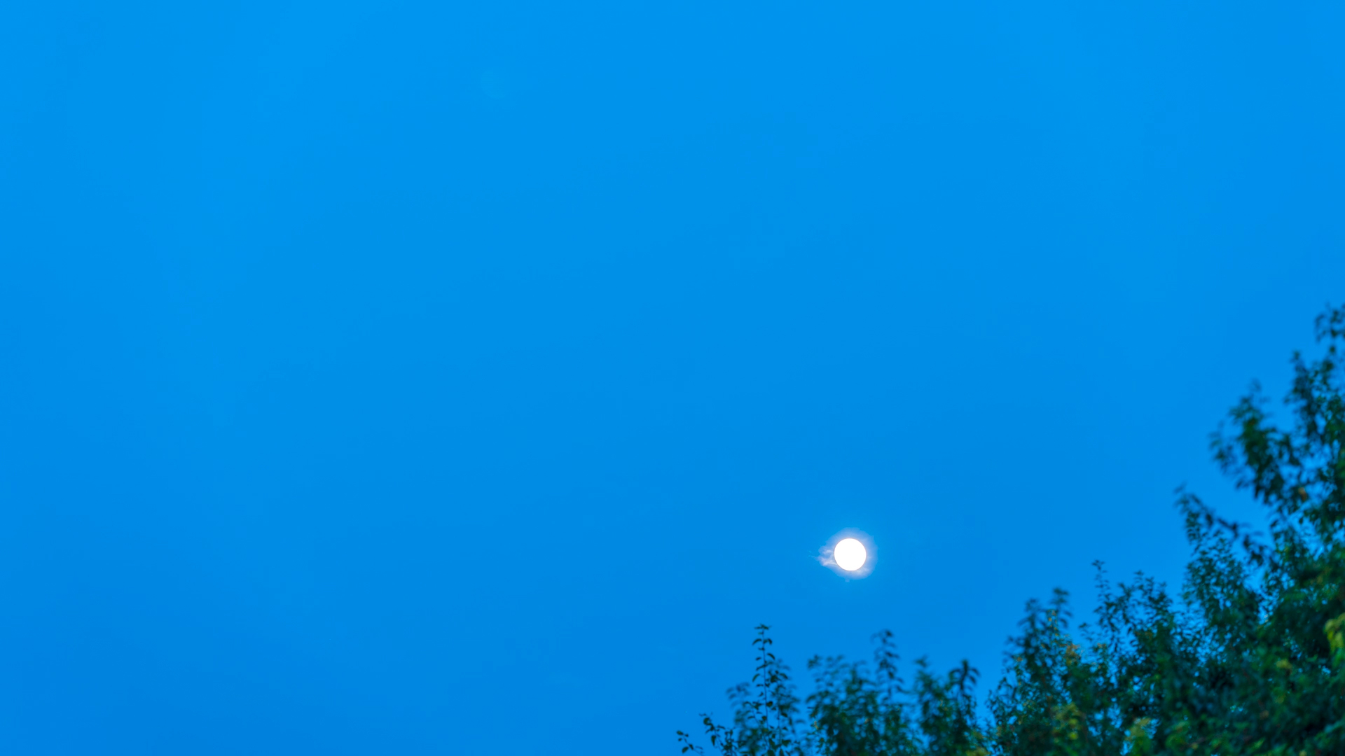4K实拍夏季月亮夜空延时风光延时摄影拍摄自然风景自然风光视频的预览图