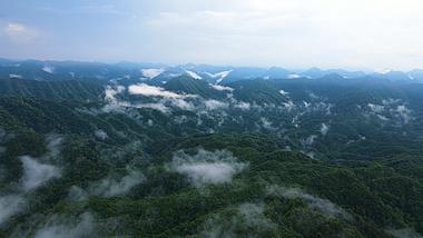 4k风景重庆四面山森林大自然云雾缭绕自然风光自然风景大好河山视频的预览图