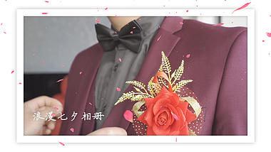 唯美白色婚礼七夕爱情相册视频ae相册模板视频的预览图