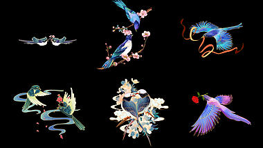 国潮中国风情人节两只喜鹊鸟成双成对玫瑰花带通道mov视频的预览图