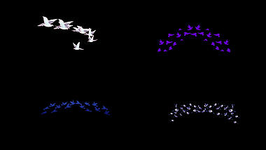 七夕喜鹊鹊桥展翅飞蓝色中国风紫色剪影带通道mov视频的预览图