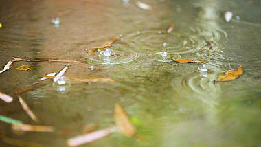4k实拍唯美下雨雨滴滴落空镜头下雨天下雨视频雨水城市下雨自然风景视频的预览图