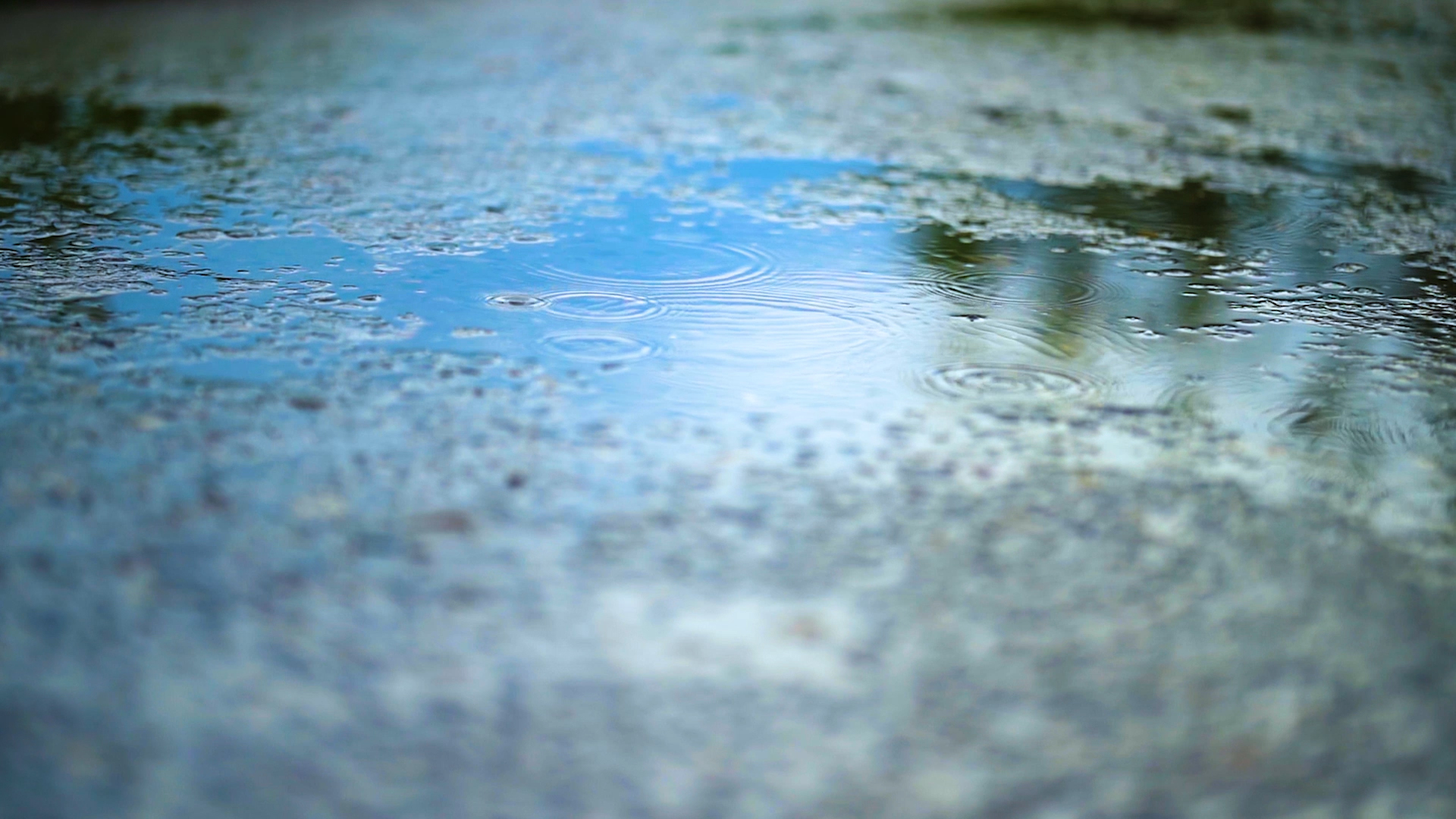 4k实拍唯美意境下雨小雨风光下雨天下雨视频雨滴雨水城市下雨自然风景空镜头视频的预览图