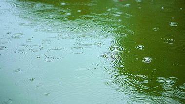 4k实拍高清唯美下雨意境雨水下雨天下雨视频雨滴城市下雨自然风景滴落池塘视频的预览图