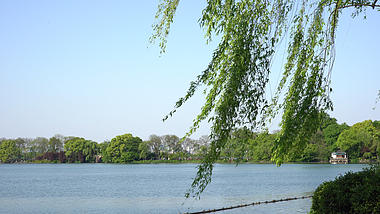 4K实拍杭州西湖溪水流动垂柳自然风景视频的预览图