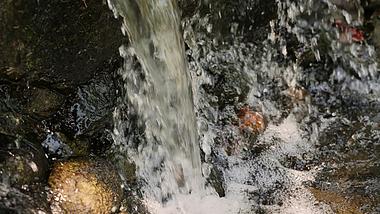 4k小溪溪水水流自然风景自然景观空镜意境视频的预览图