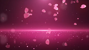 七夕节情人节花瓣粉色粒子婚礼婚庆背景视频视频动态背景视频的预览图