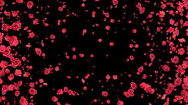 浪漫玫瑰花花瓣喷射散开遮罩转场带通道素材视频的预览图