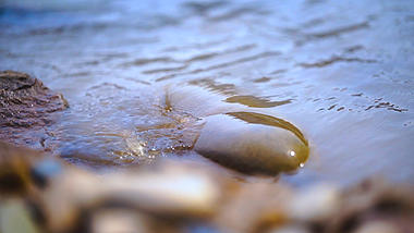 4k实拍海边海浪拍打石头鹅卵石风光视频的预览图