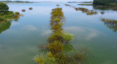 4K绿水青山自然美景空镜头视频的预览图