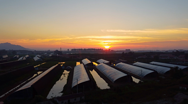 4K夕阳下农村农业草莓大棚空镜头视频的预览图