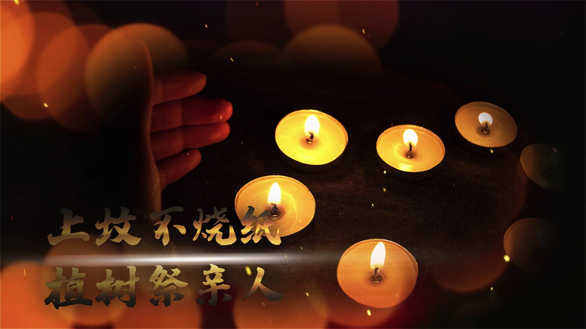 大气震撼祭祀中元节追思祭祖AE模板视频的预览图