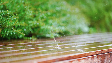 4k实拍唯美治愈意境下雨天雨水滴落木板上风光视频的预览图