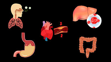 人体器官肠子肺部呼吸爱肝护肝胃视频的预览图