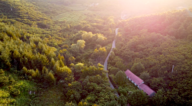 4K阳光光晕下的森林小山村蜿蜒公路幸福温馨空镜头视频的预览图