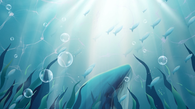 唯美梦幻世界治愈系海底鲸鱼背景视频AE模板视频的预览图