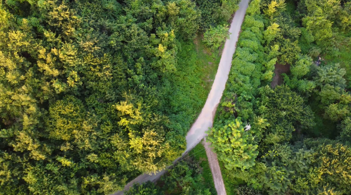 4K阳光下的乡村小路森林俯拍空镜头视频的预览图
