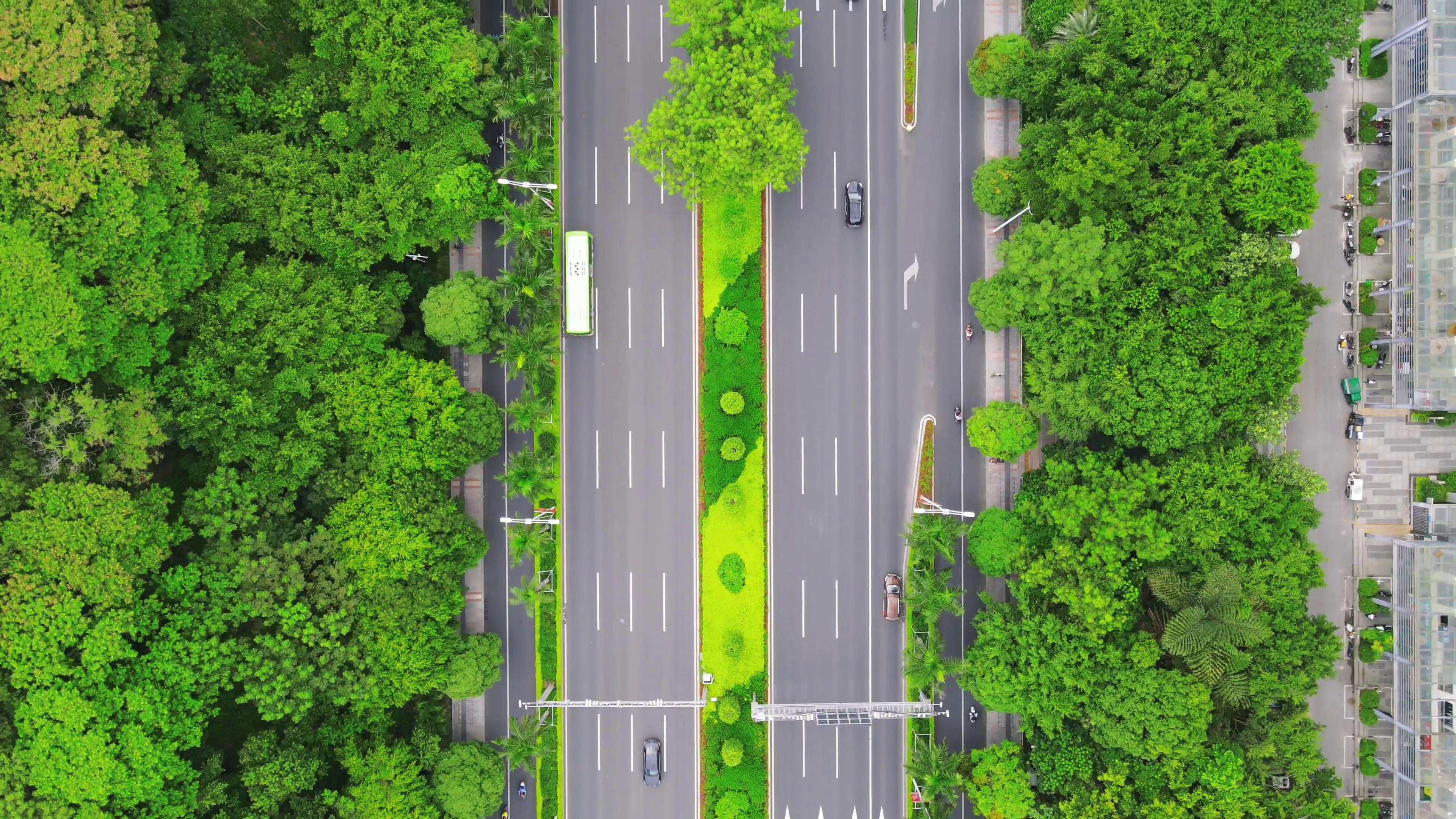 4K俯拍广西南宁城市大道交通绿化植物视频的预览图