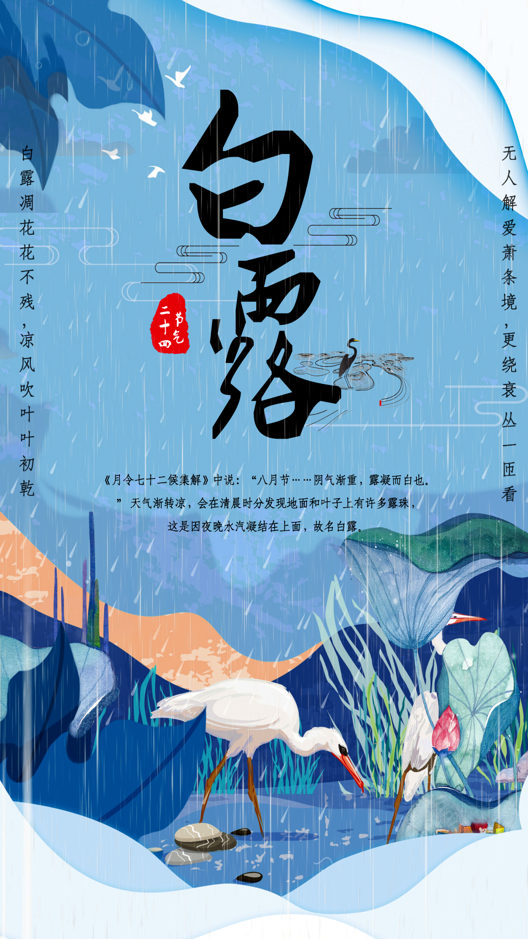 原创竖屏蓝色插画清新仙鹤白露节气视频海报ae模板视频的预览图