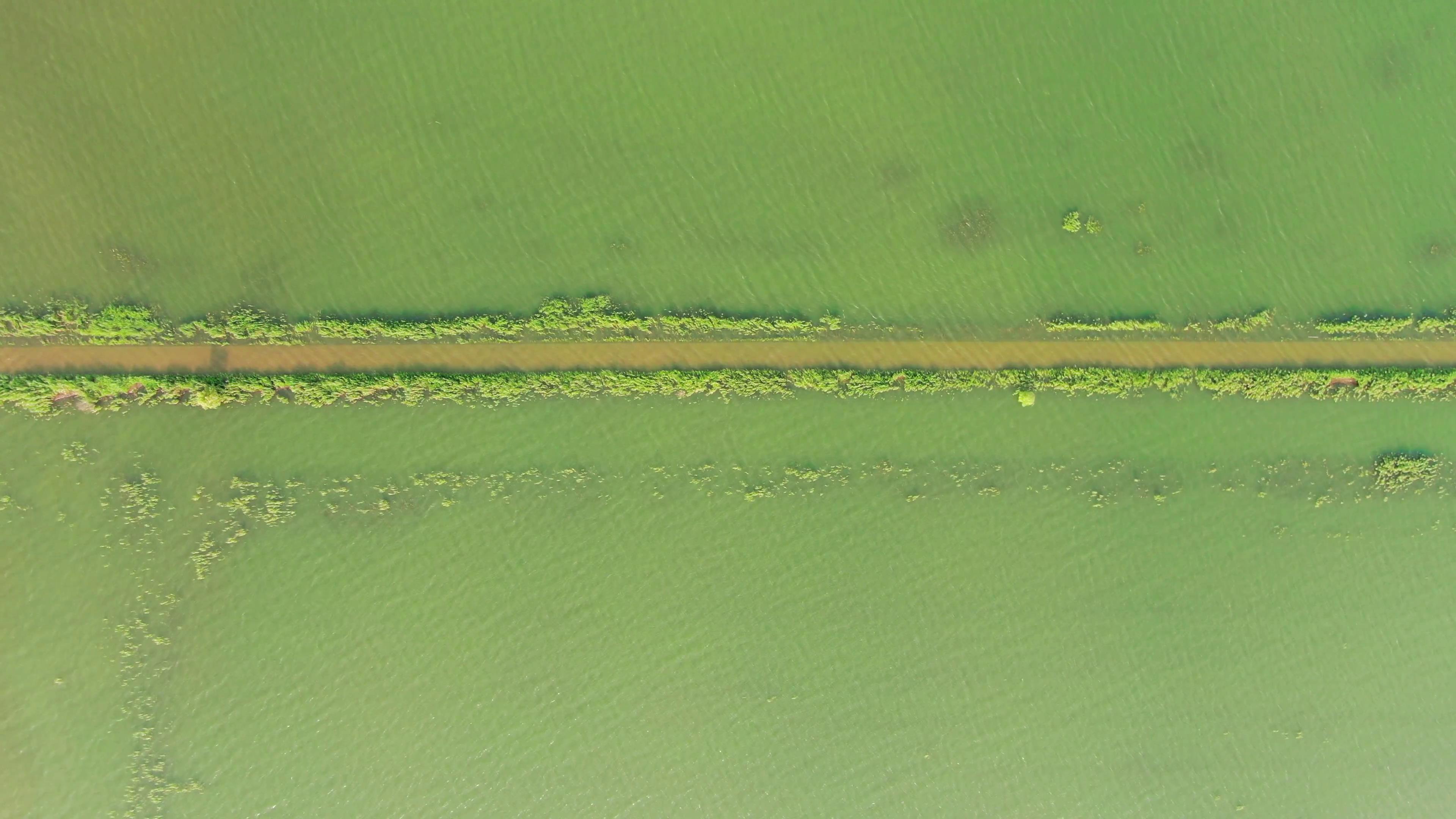 4K俯拍湖面上唯美公路自然风景视频视频的预览图