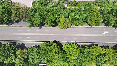 4K俯拍江西赣州城市大道绿化植物视频的预览图