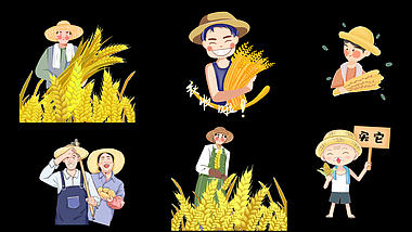 丰收季节劳动人民忙农活粮食玉米农民人物素材视频的预览图