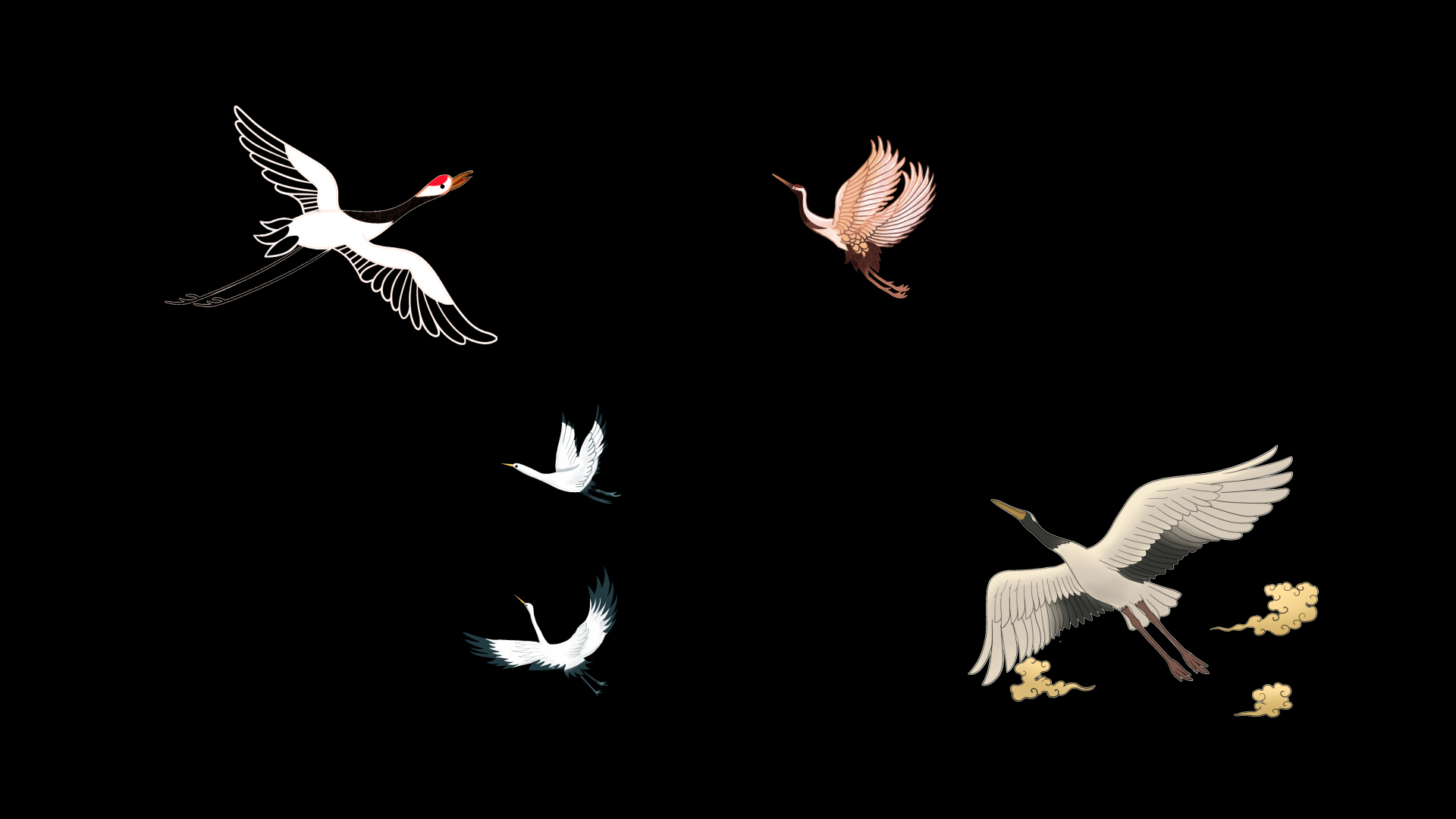 仙鹤白鹤动物中国风国潮水墨挂件带通道视频的预览图