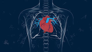 4K医疗人体结构心脏跳动背景视频AE模板视频的预览图