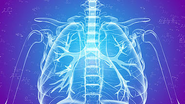 4K蓝色医疗人体结构背景视频AE模板视频的预览图