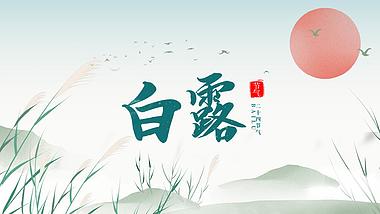 中国风水墨山水芦苇飞鸟白露节气片头视频视频的预览图