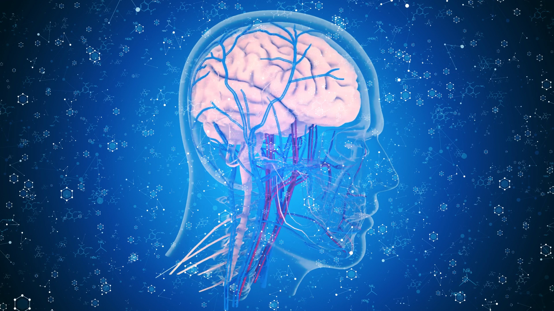 4K高端人体大脑医疗背景视频AE模板视频的预览图