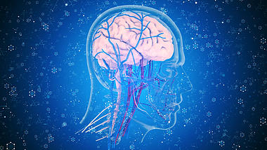 4K高端人体大脑医疗背景视频AE模板视频的预览图