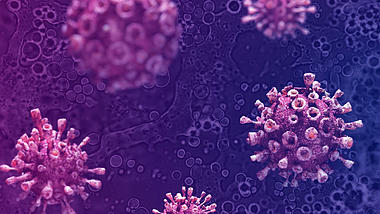 医疗化学生物病毒背景视频AE模板视频的预览图