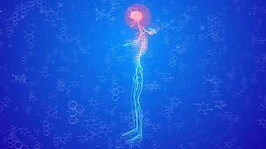 3D医疗化学生物人体背景视频AE模板视频的预览图